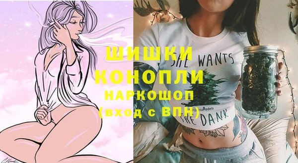 apvp Володарск