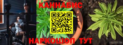 тгк Партизанск