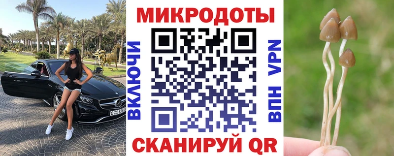 наркота  Славянск-на-Кубани  Галлюциногенные грибы Magic Shrooms 