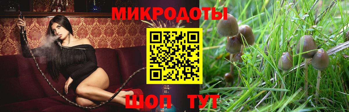 Галлюциногенные грибы Psilocybine cubensis  Галлюциногенные грибы прущие грибы  Славянск-на-Кубани  Вход с VPN 
